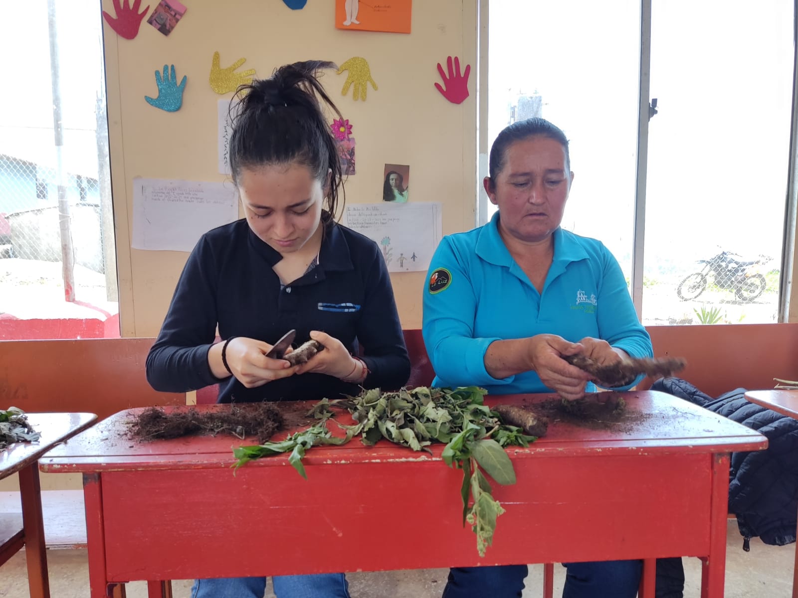 Taller plantas medicinales 4